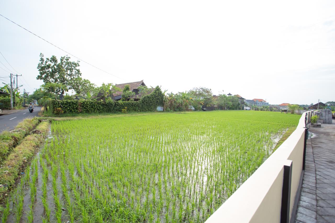 V Canggu Dormitory Εξωτερικό φωτογραφία